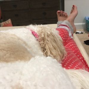 Meet your Posher, Misty